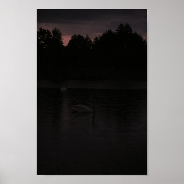 Affiche Sunset Lake Rain Swans Nature Paysage (Devant)