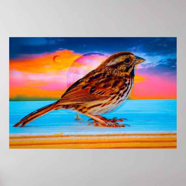 Affiche Sunset Melody (Devant)