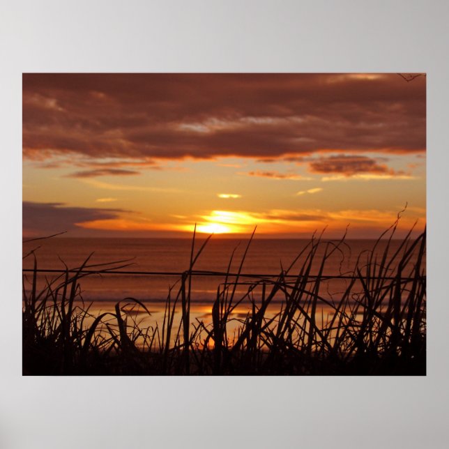 Affiche Sunset néo-zélandais (Devant)