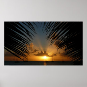 Affiche Sunset Through Palm Fronds