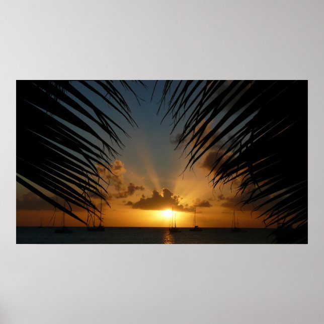 Affiche Sunset Through Palm Fronds (Devant)
