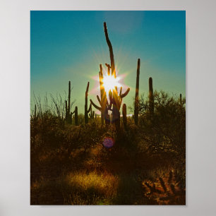 Affiche Sunstar du Saguaro