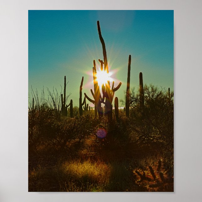Affiche Sunstar du Saguaro (Devant)