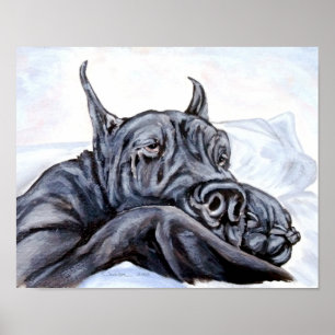 Affiche Super Dane Sofa Dreams