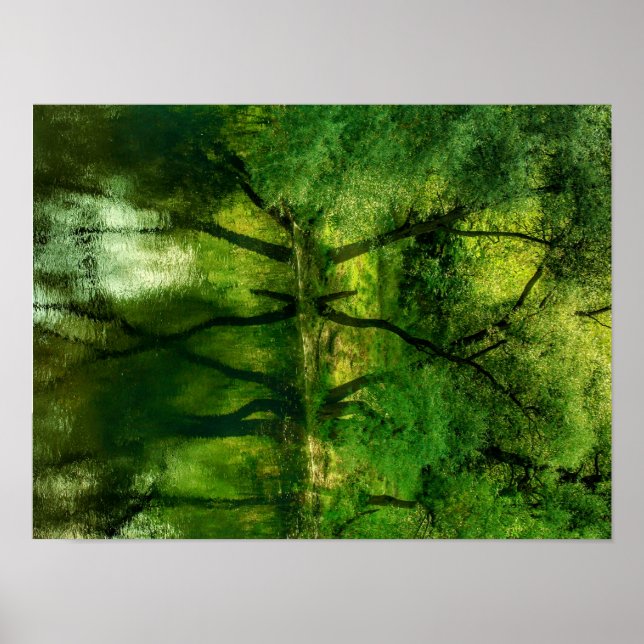 Affiche Super Green River Trees Reflection A3 (Devant)