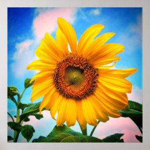 Affiche Super Sunflower