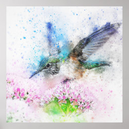 Affiche Superbe aquarelle de colibri