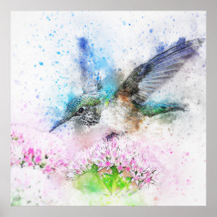 Affiche Superbe aquarelle de colibri