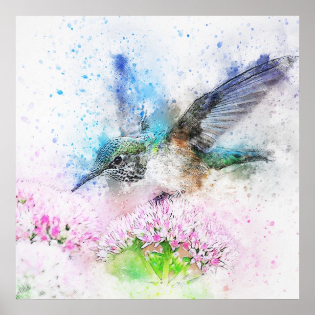 Affiche Superbe aquarelle de colibri (Devant)