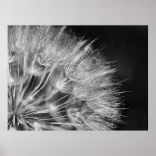 Affiche Superbe boume de pustère en noir et blanc