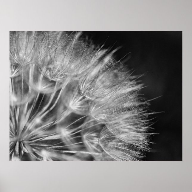 Affiche Superbe boume de pustère en noir et blanc (Devant)