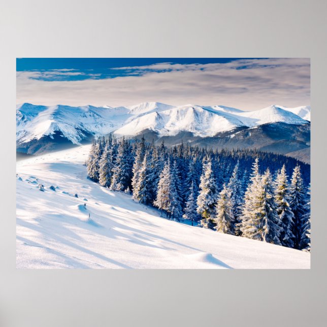 Affiche Superbe paysage d'hiver avec des arbres enneigés (Devant)