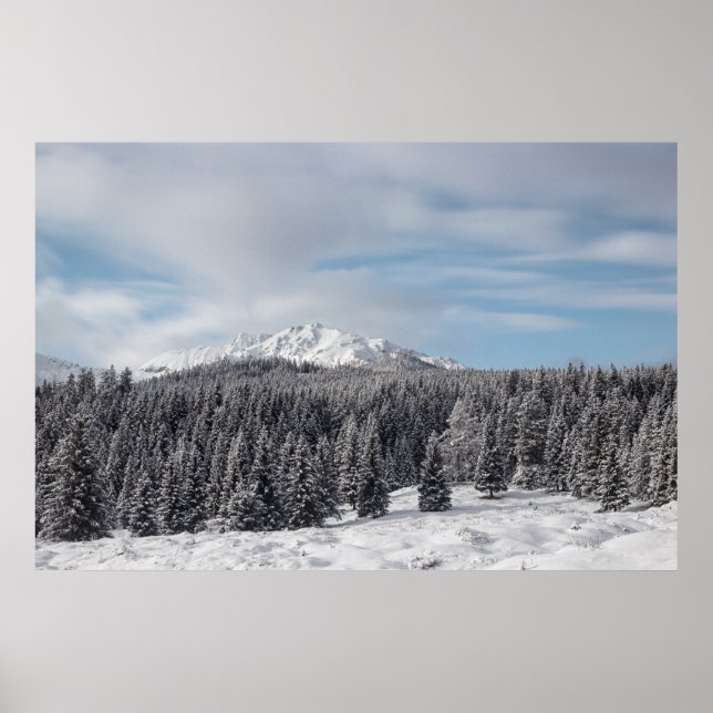 Affiche Superbe paysage hivernal (Devant)