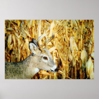 Affiche Superbe peinture à l'aquarelle de cerf blanc