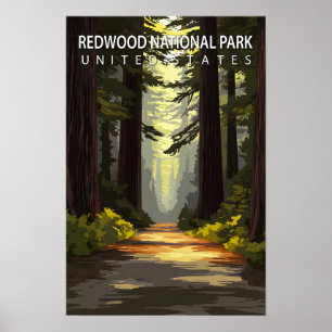 Affiche Superbe Place Redwood National Park USA Travel