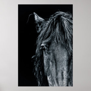 Affiche Superbe portrait de cheval noir