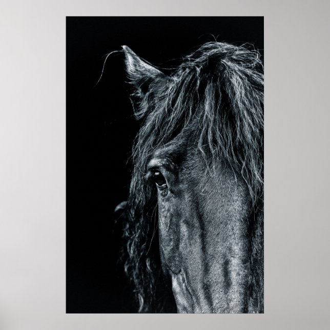 Affiche Superbe portrait de cheval noir (Devant)