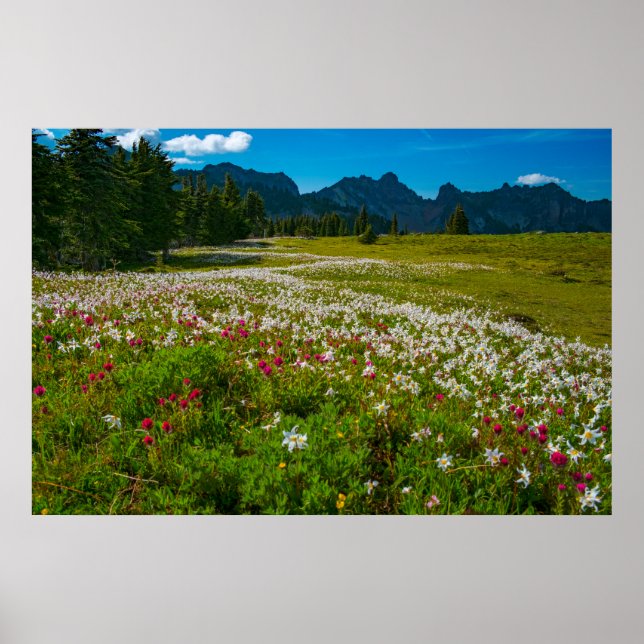 Affiche Superfleur d'Avalanche Lily (Devant)