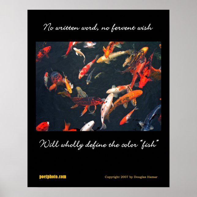 Affiche sur la diversité (Devant)