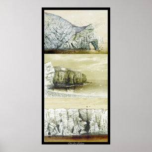 Affiche sur la vie des oiseaux ~ Cliff Habitat
