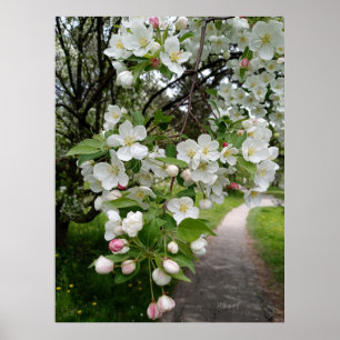 Affiche Sur les branches de fleurs