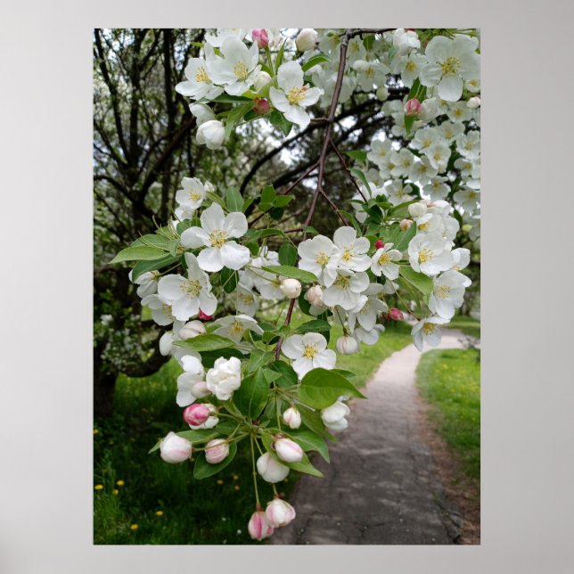 Affiche Sur les branches de fleurs (Devant)