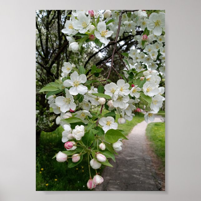 Affiche Sur les branches de fleurs (Devant)