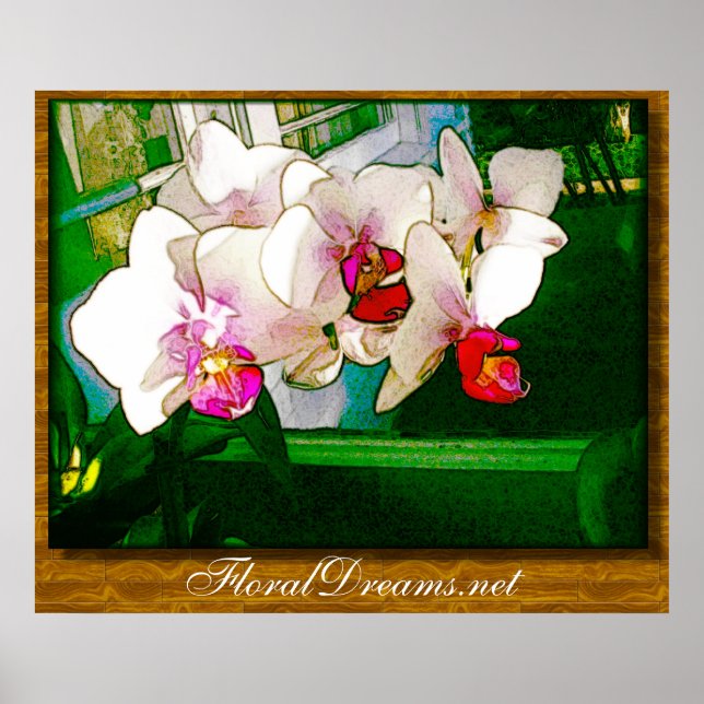 Affiche sur l'explosion des orchidées (Devant)