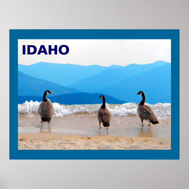 Affiche SURF ! - Oies (Devant)