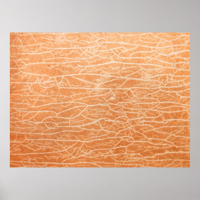 Affiche surface Brown (Devant)