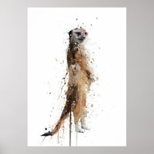 Affiche Suricate