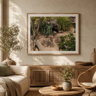Affiche Suricates au repos dans leur habitat naturel Faune