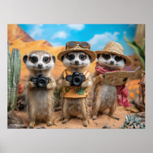Affiche Suricates déguisés en touristes avec des appareils