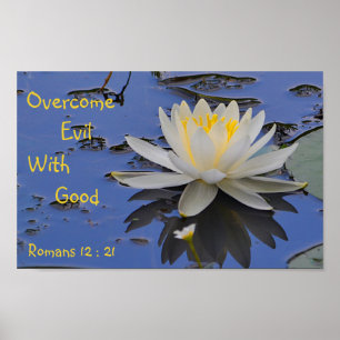 Affiche Surmonter Le Mal Avec Une Bonne Lily