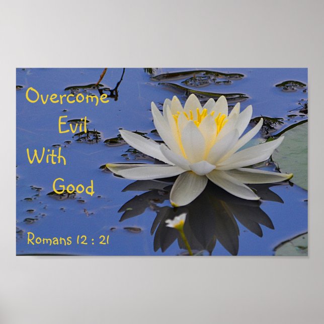 Affiche Surmonter Le Mal Avec Une Bonne Lily (Devant)