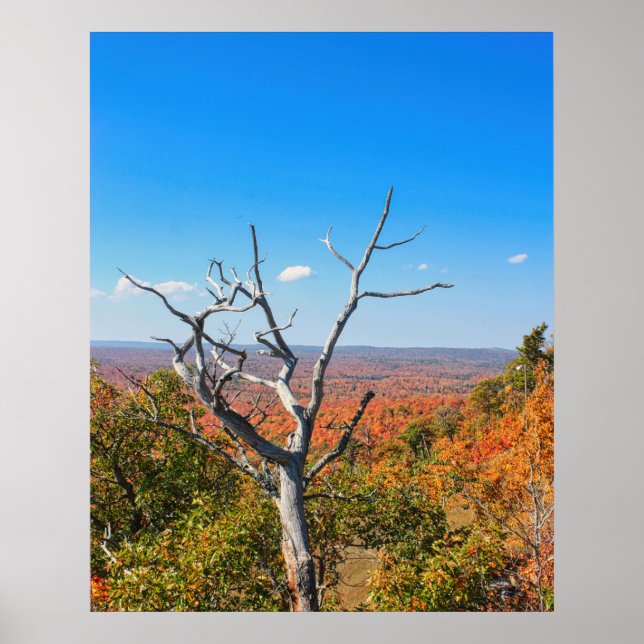 Affiche Surplomb d'automne au mont Bohemia (Devant)