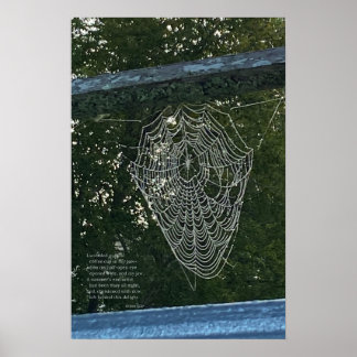 Affiche Surprise du matin, une toile d'araignée recouverte