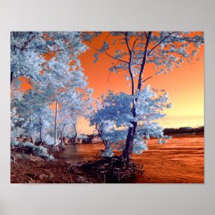Affiche Surreal riverscape