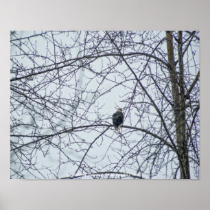 Affiche Surveillance