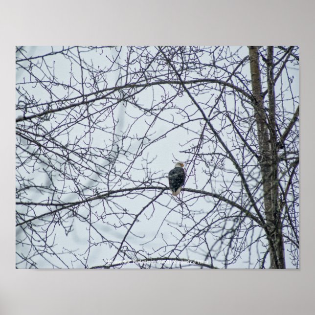 Affiche Surveillance (Devant)