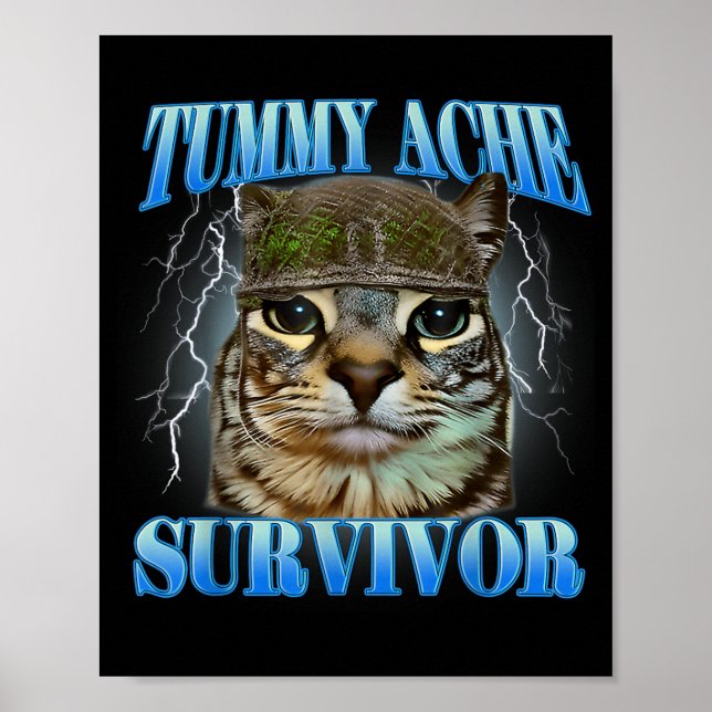 Affiche Survivant de mal de ventre Mème de chat idiot Cita (Devant)