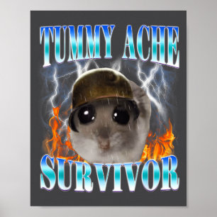 Affiche Survivant des maux de ventre Hamster Meme Citation