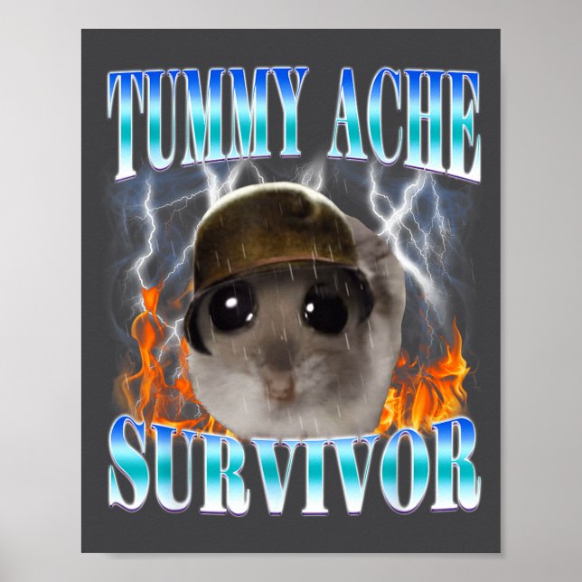 Affiche Survivant des maux de ventre Hamster Meme Citation (Devant)