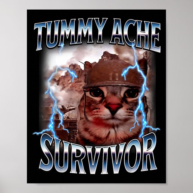 Affiche Survivant des maux de ventre mème de chat drôle a  (Devant)