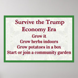 Affiche Survivre à l'économie Trump, la faire croître