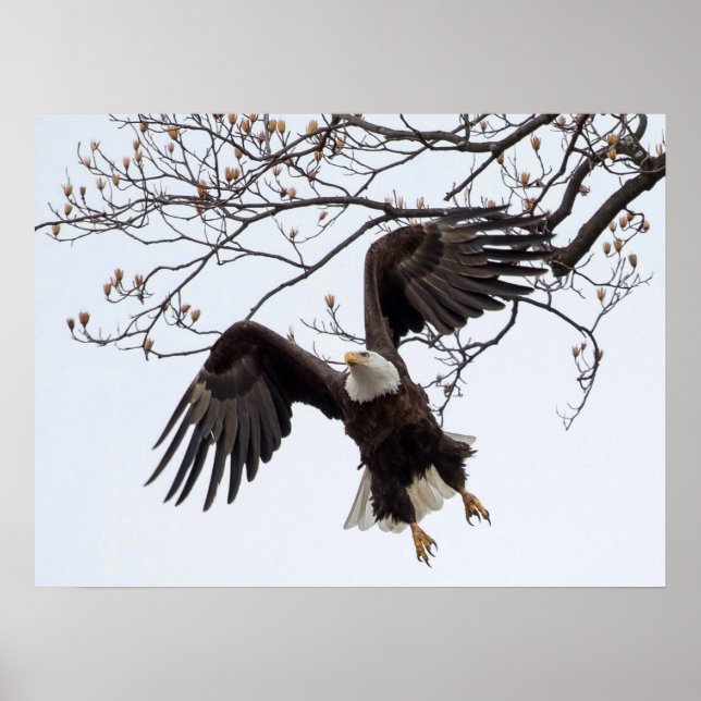 Affiche Suspendu en plein air (Devant)