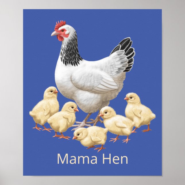 Affiche Sussex Chicken Mama Hen et Chicks (Devant)