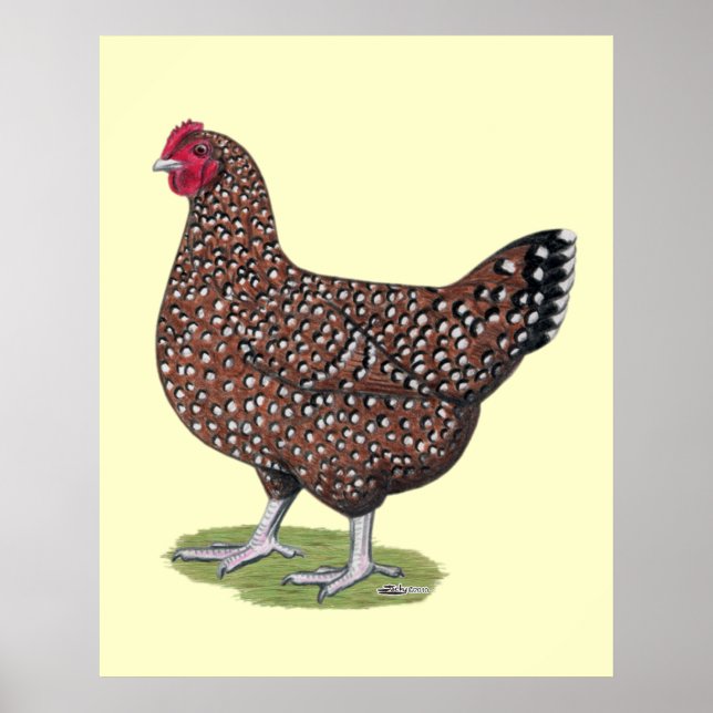 Affiche Sussex : Hen Speckled (Devant)