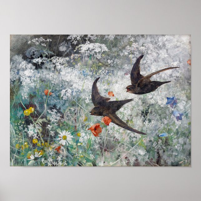 Affiche Swallow and Flower Field, Bruno Liljefors (Devant)