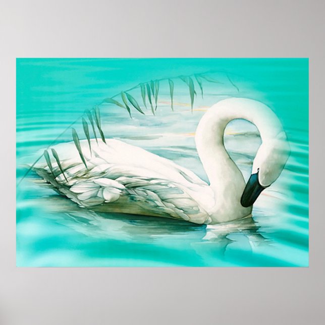 Affiche Swan (Devant)